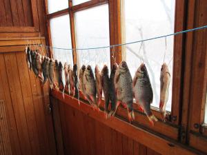 Приманки для зимней рыбалки